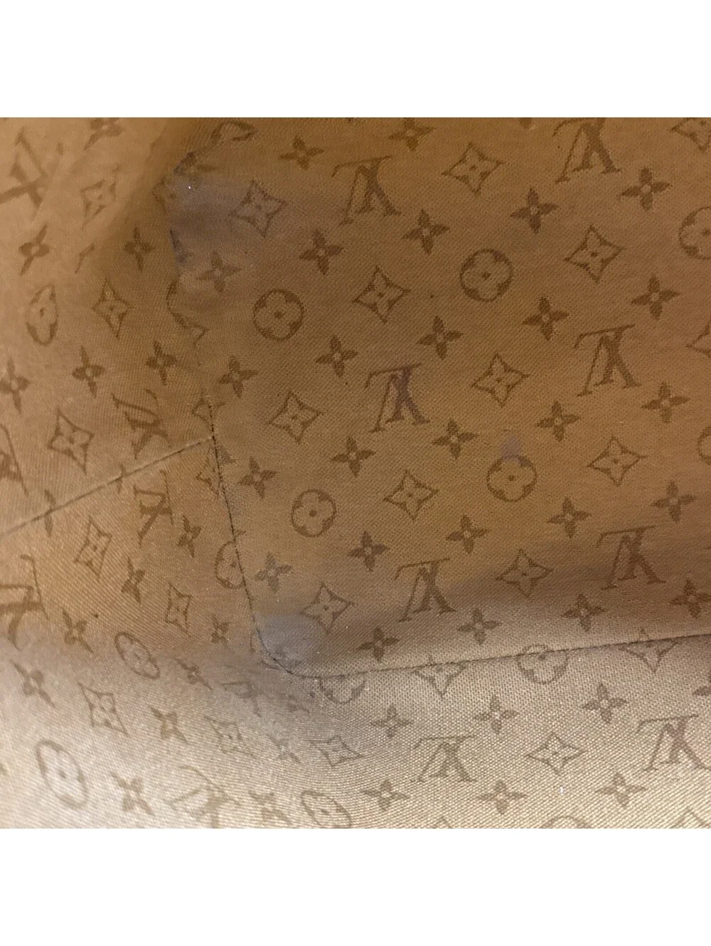 Louis Vuitton Crafty Monogram Neverful